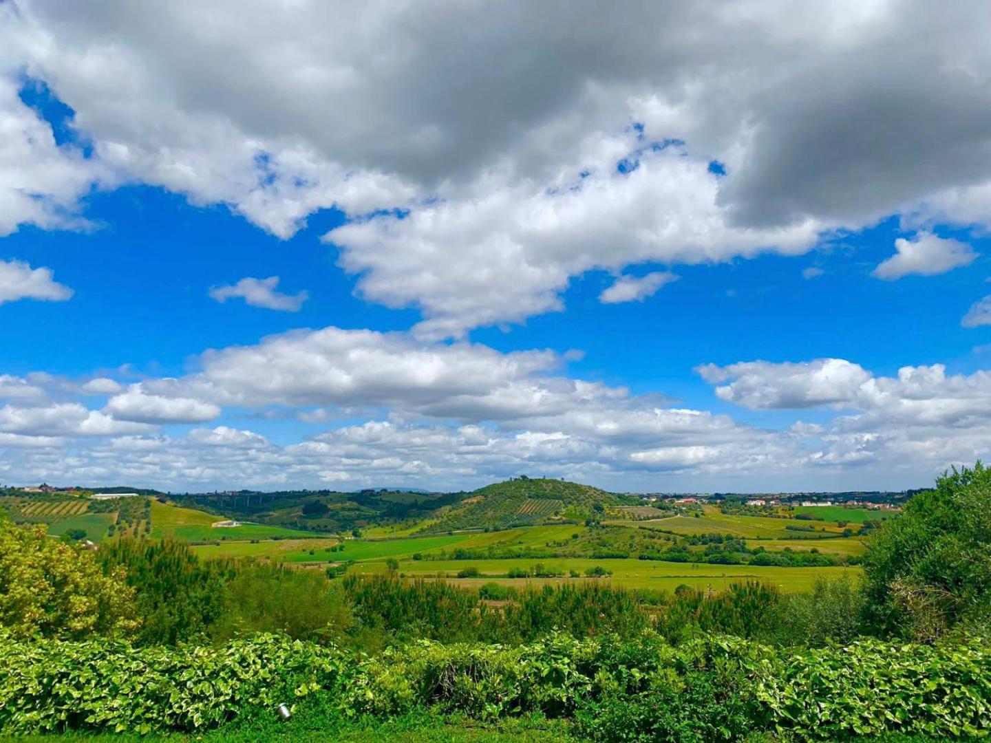 Zdjęcie 6: Poolside Suite - Heated Shared Pool-Quinta da BellaVista