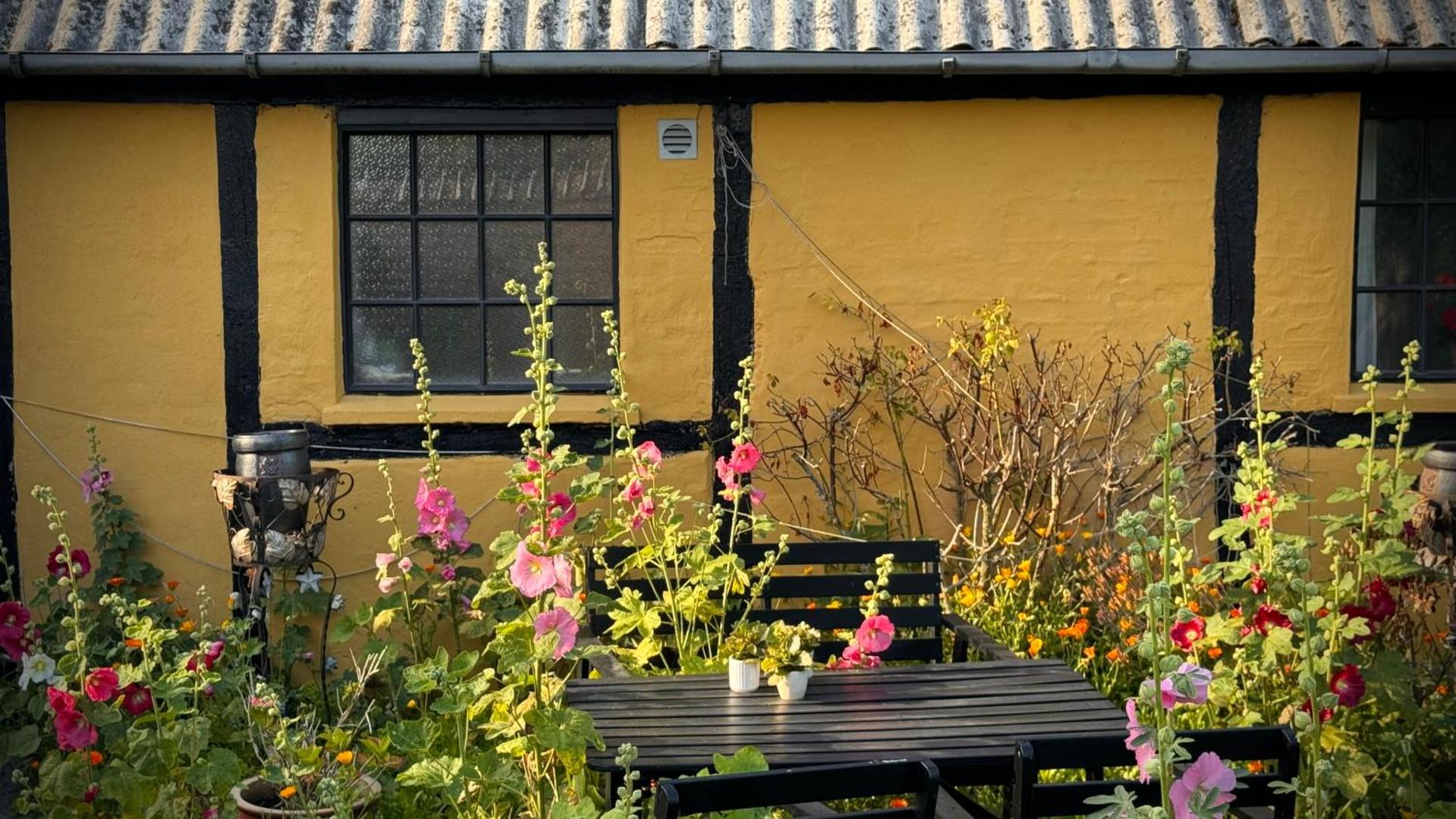Foto 9: Dyrlev Bed & Breakfast