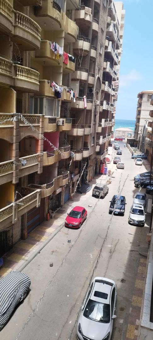Fotografia 4: العصافره