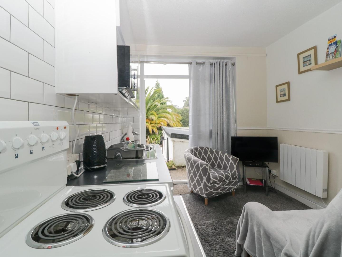 Flat 3, Big Tree Holiday Flats photo 8