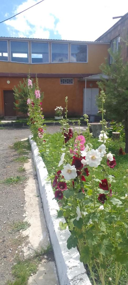 Zdjęcie 9: Sevan Backstage Garden