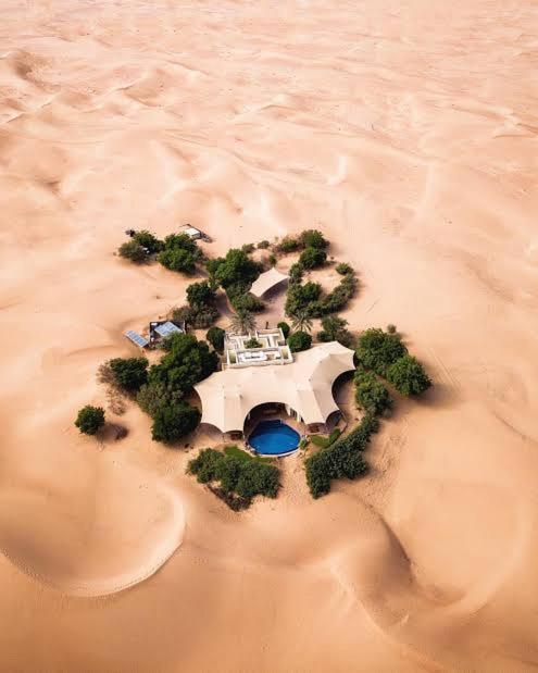 رادمةの写真7