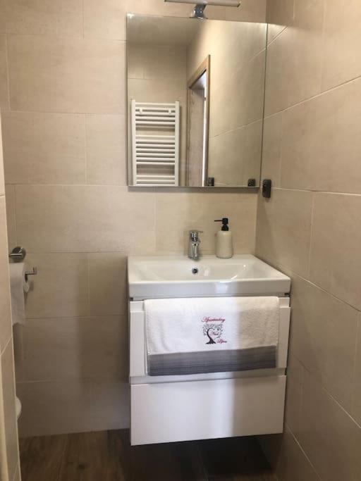 AP1, Hrubá Skála, Apartmány Nad Lípouの写真10