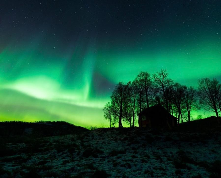 Foto 5: Harstad, all seasons