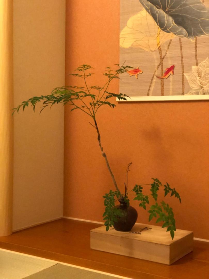 Фотография 8: 静雅の宿