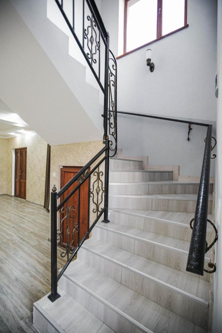 თოია photo 3