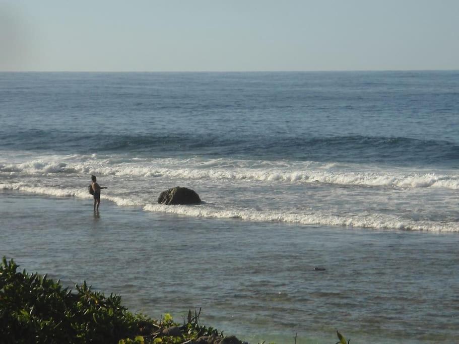 Bilde 9: Absolute Beachfront - A Slice of Paradise!