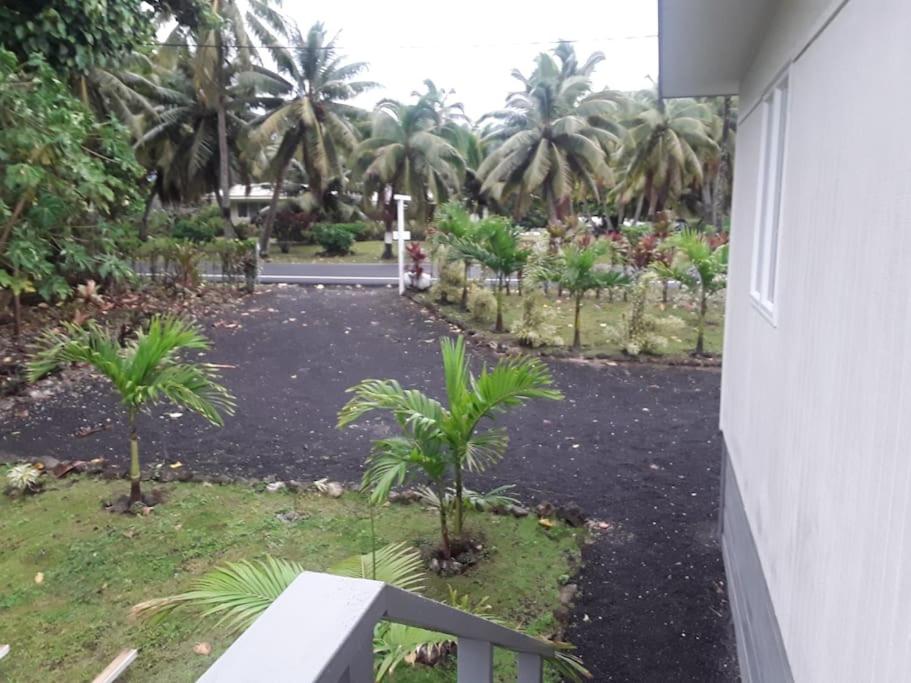 Bilde 7: Absolute Beachfront - A Slice of Paradise!