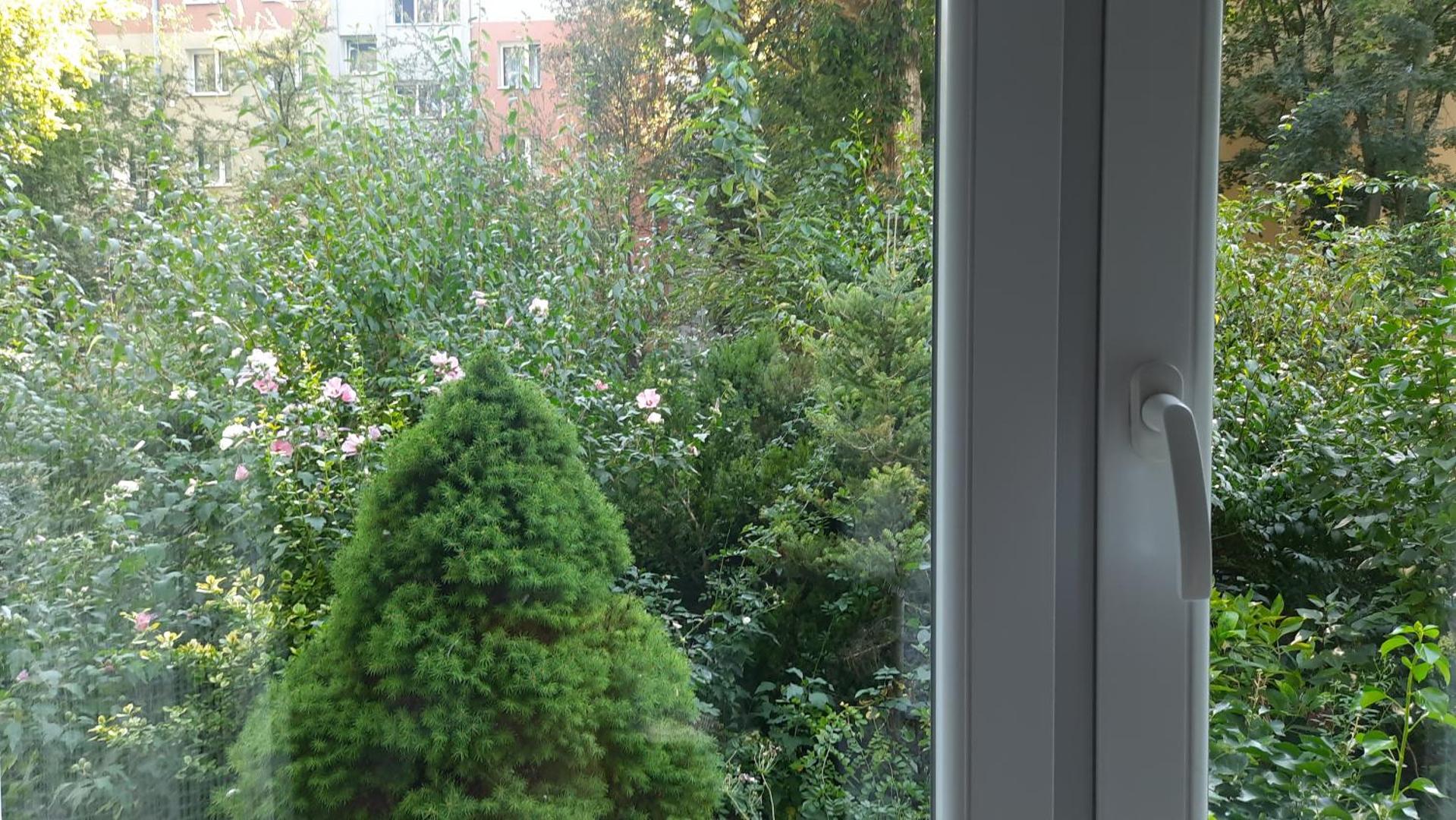 Bilde 4: Apartament Sofia