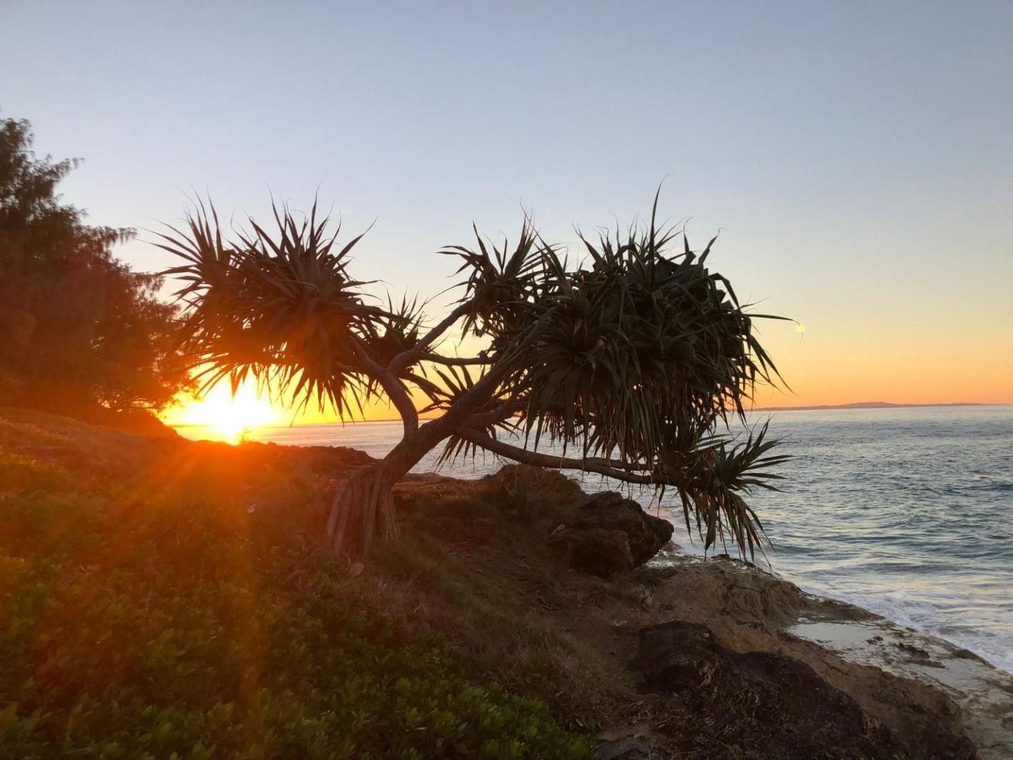Bilde 7: Mintee 3 by Discover Stradbroke