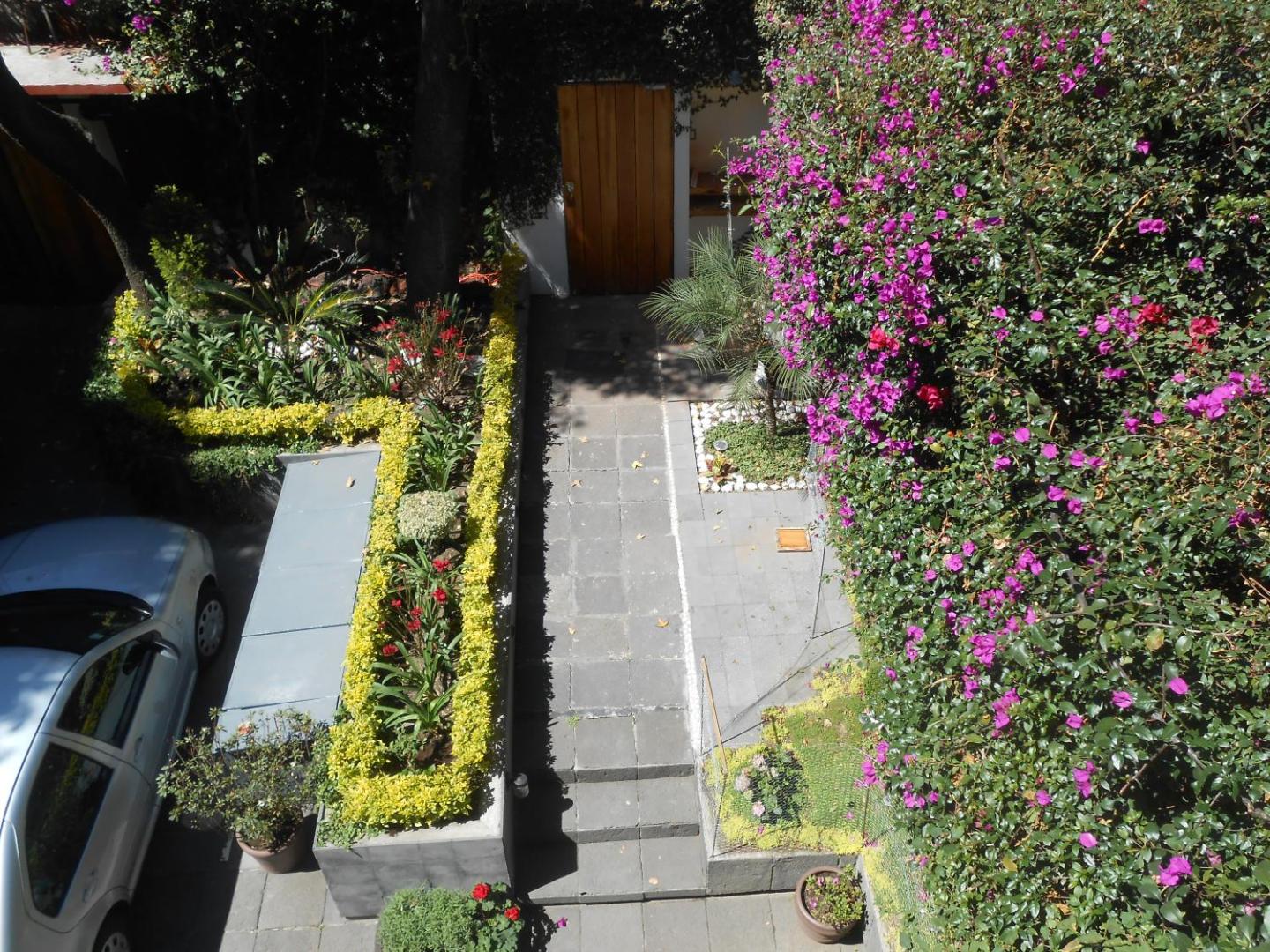 Billede 11: Terraza & Loft San Ángel