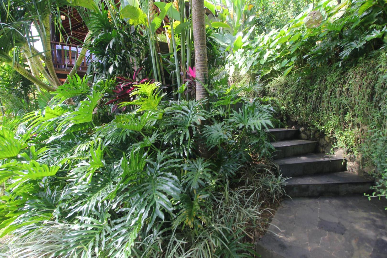 Photo 49