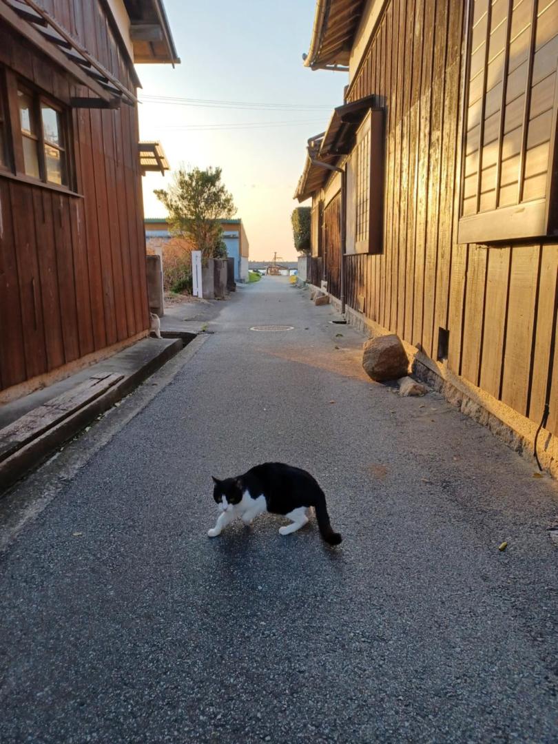 Fotografia 8: 前の家おさき