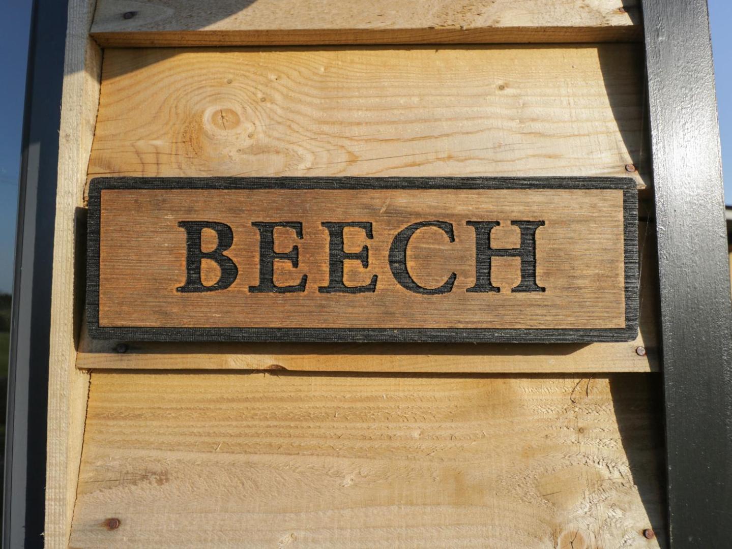Foto 2: Beech