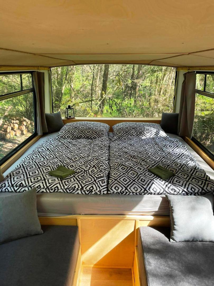 Foto 2: Magicbus