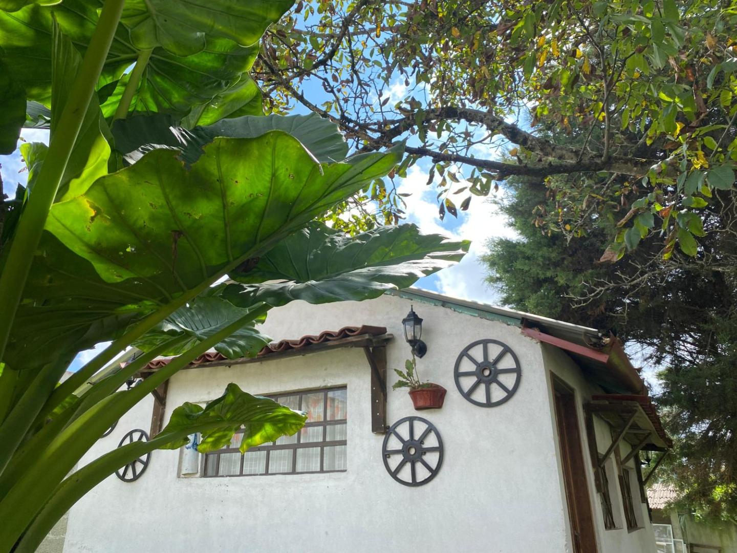 Villa Sofia photo 10