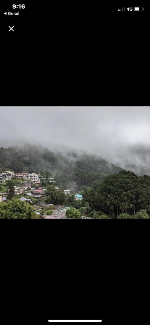 Foto 6: 奮起湖揚揚民宿
