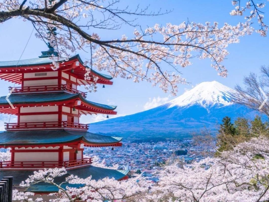 Фотография 5: オレンジハウス