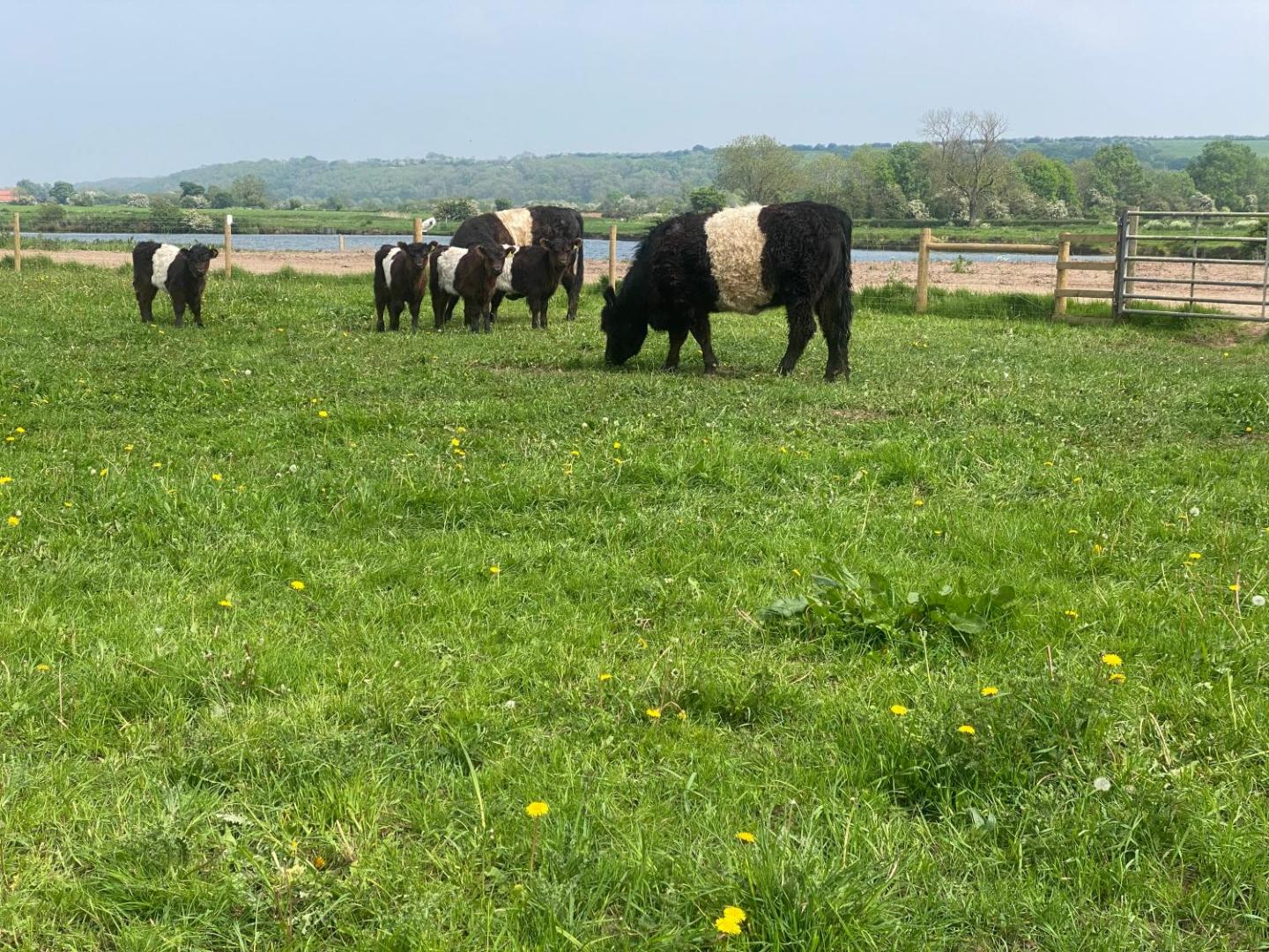 Bild 2: Flat 1, Coneygre Farm
