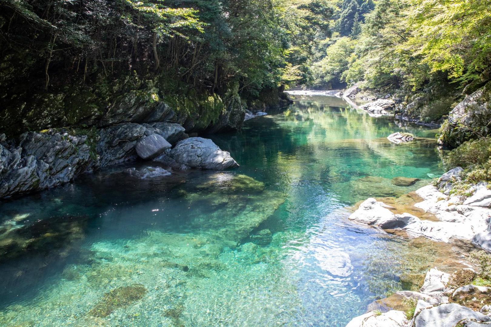 Foto 8: 清流ハウス