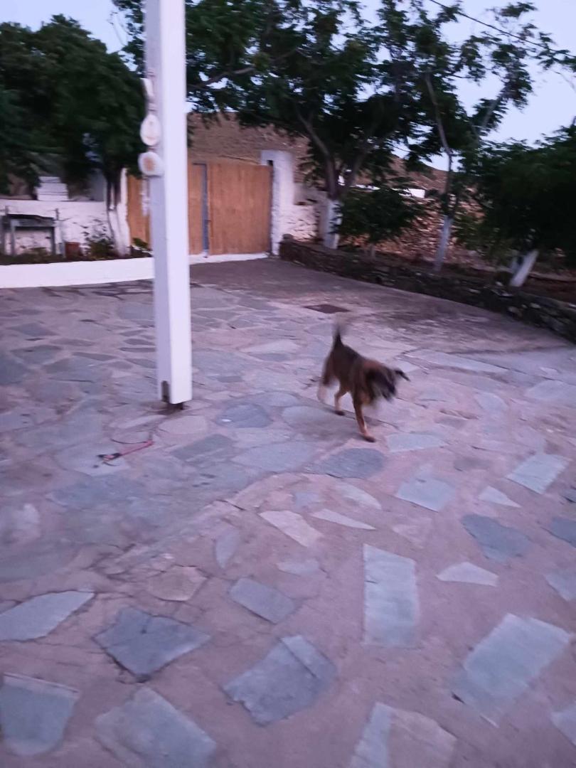 Bild 8: Ακροδεα