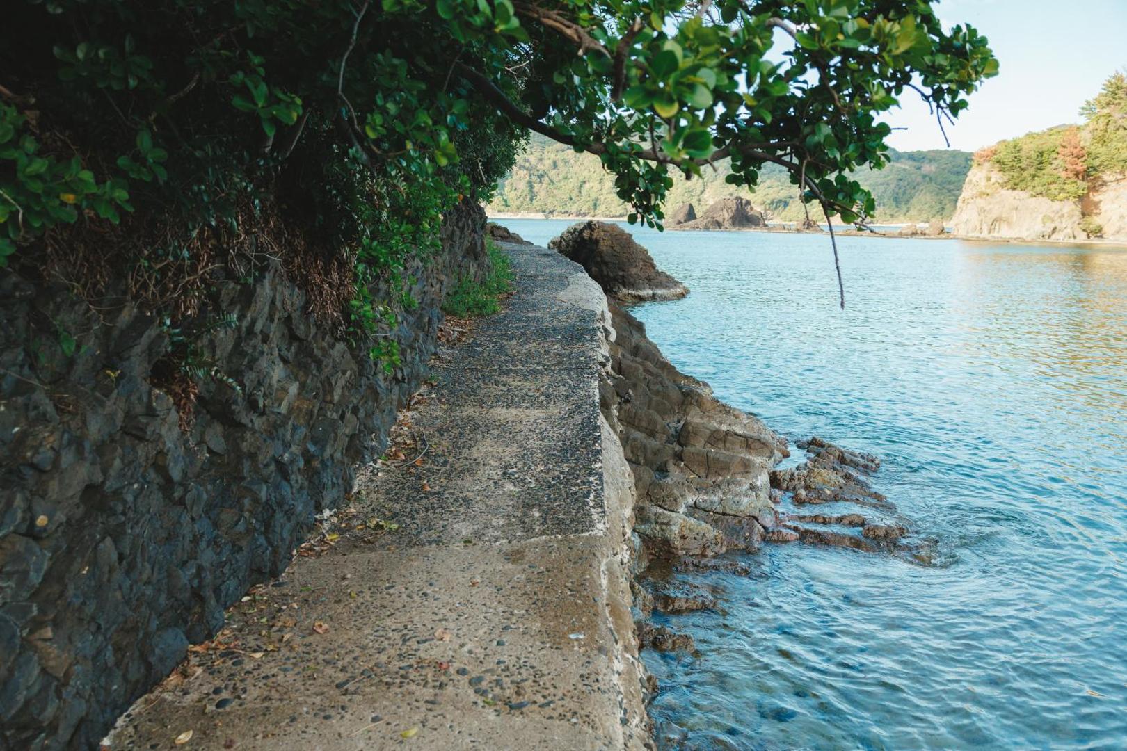 Foto 9: 海の陽