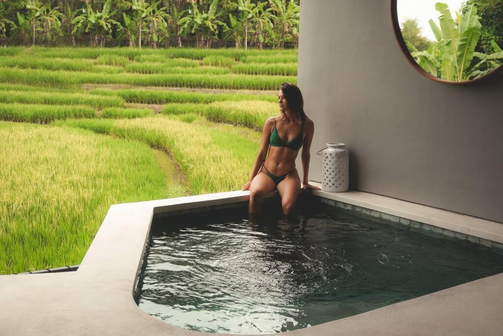 Billede 7: Spacious Apt with Spectacular Views and Private Pool