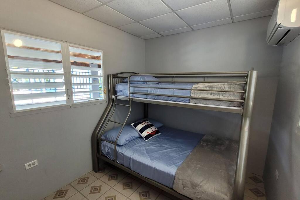 Fotografie 10: Container 2 with pool, free wifi, fully equiped