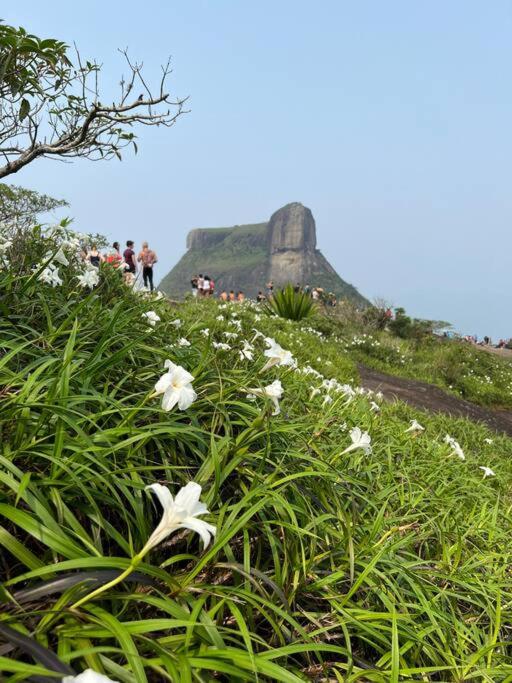 Fotografie 7: Live in Rio