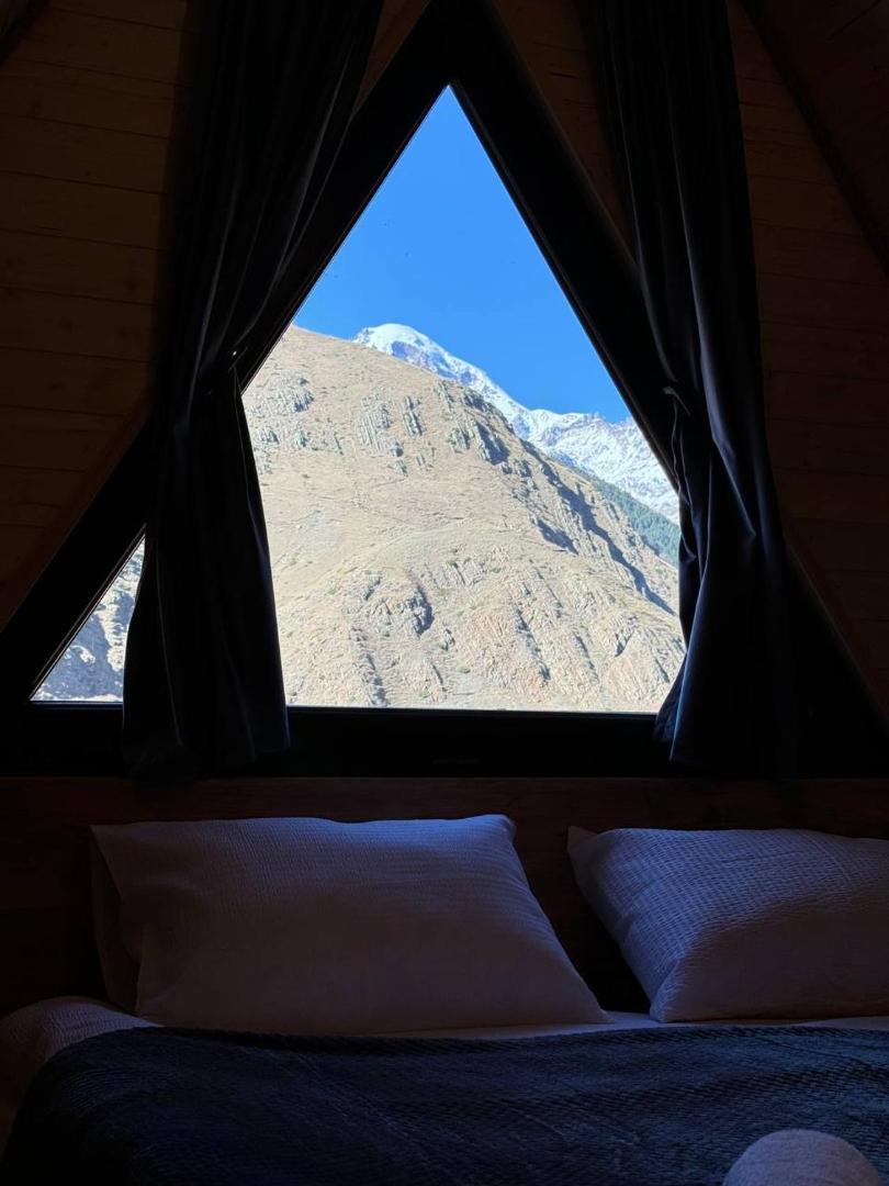 Φωτογραφία 7: Infinity Chalets in Kazbegi