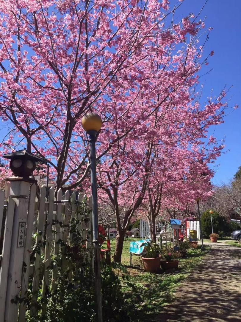 Foto 5: 桃山渡假農場