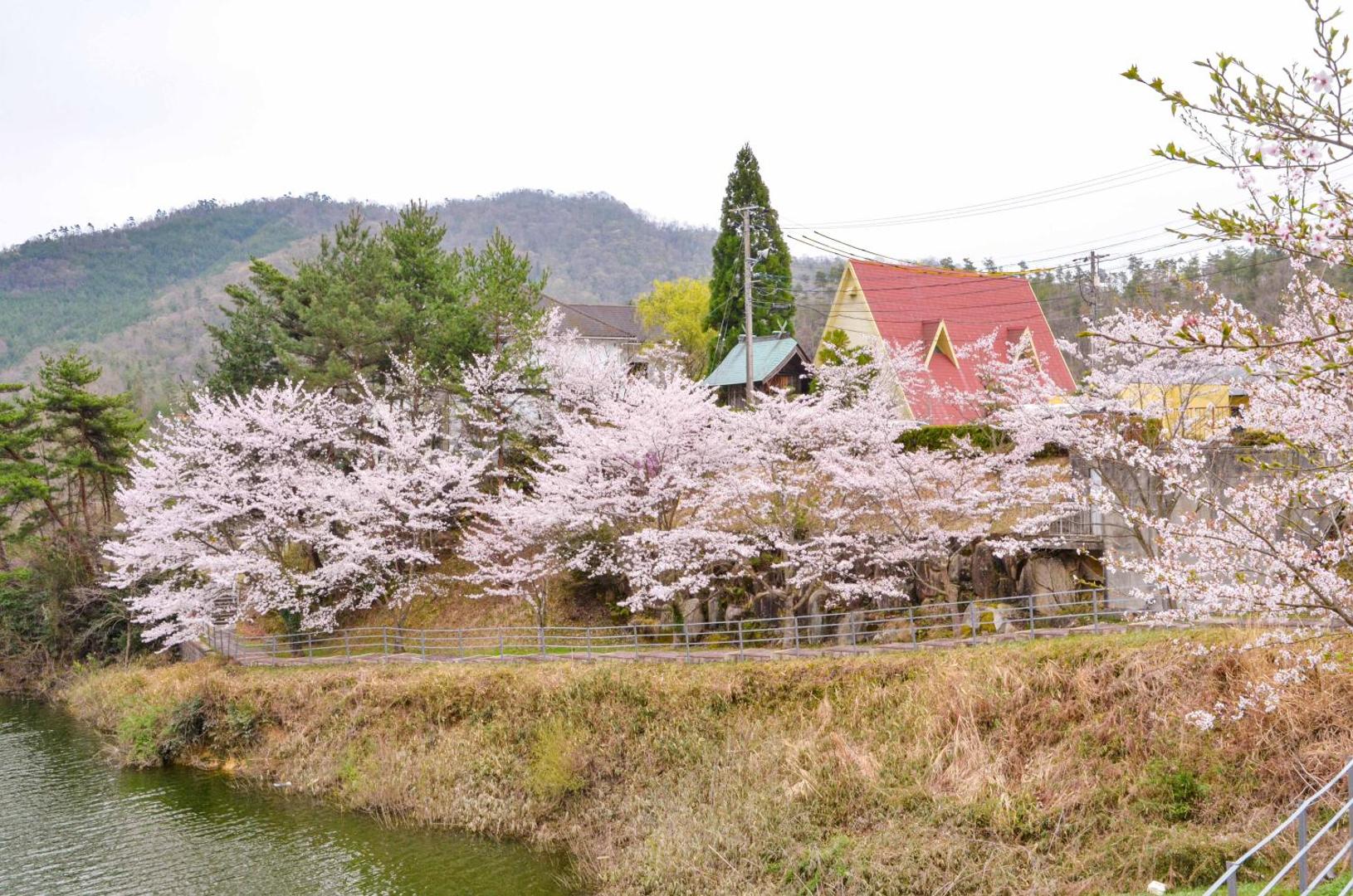 Foto 9: ホテル白竜湖リゾート