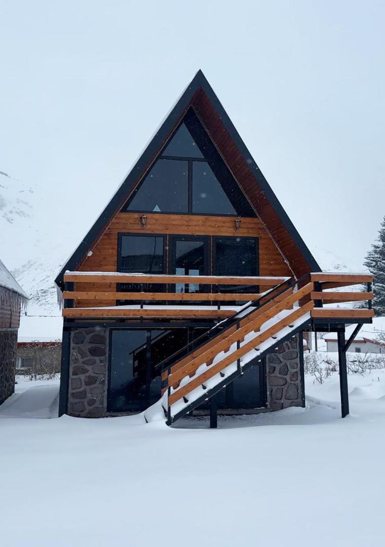 Φωτογραφία 2: Infinity Chalets in Kazbegi