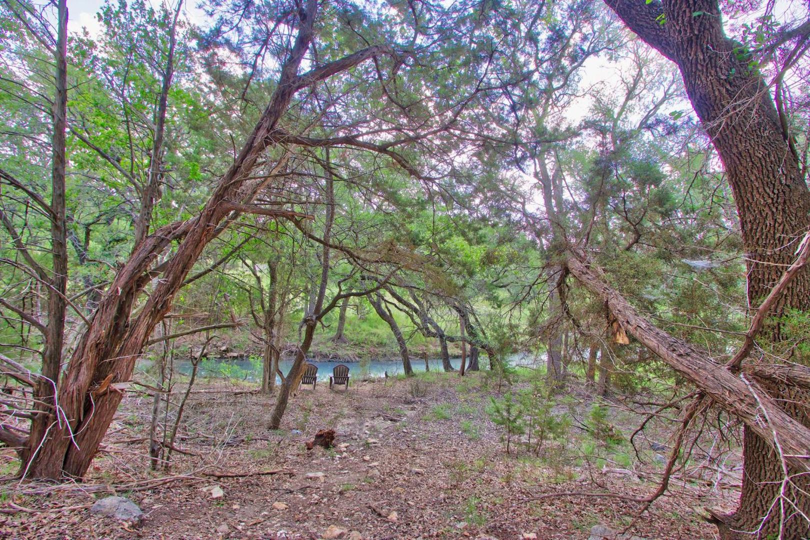 Φωτογραφία 3: Lemon Drop on the Creek
