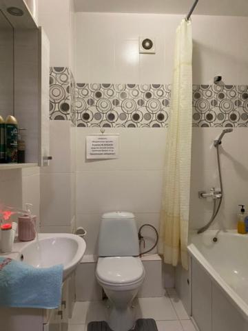 Foto 2: Байконыс