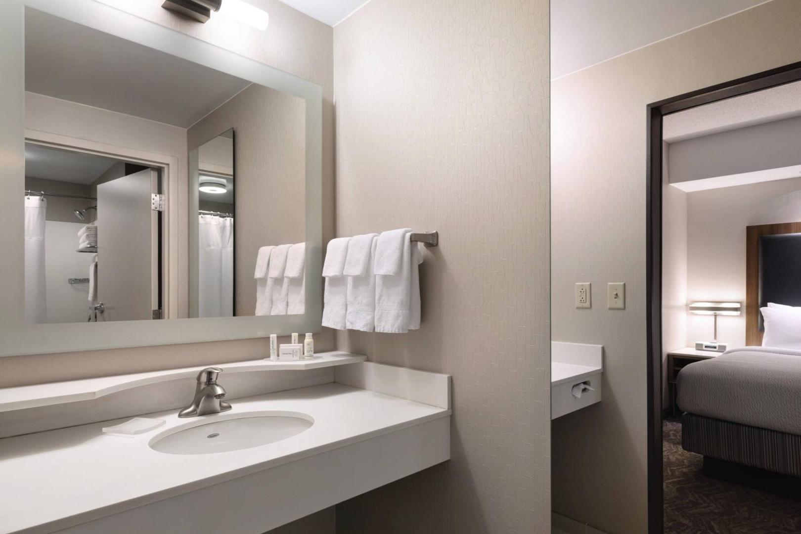 Foto 10: SpringHill Suites by Marriott Syracuse Carrier Circle