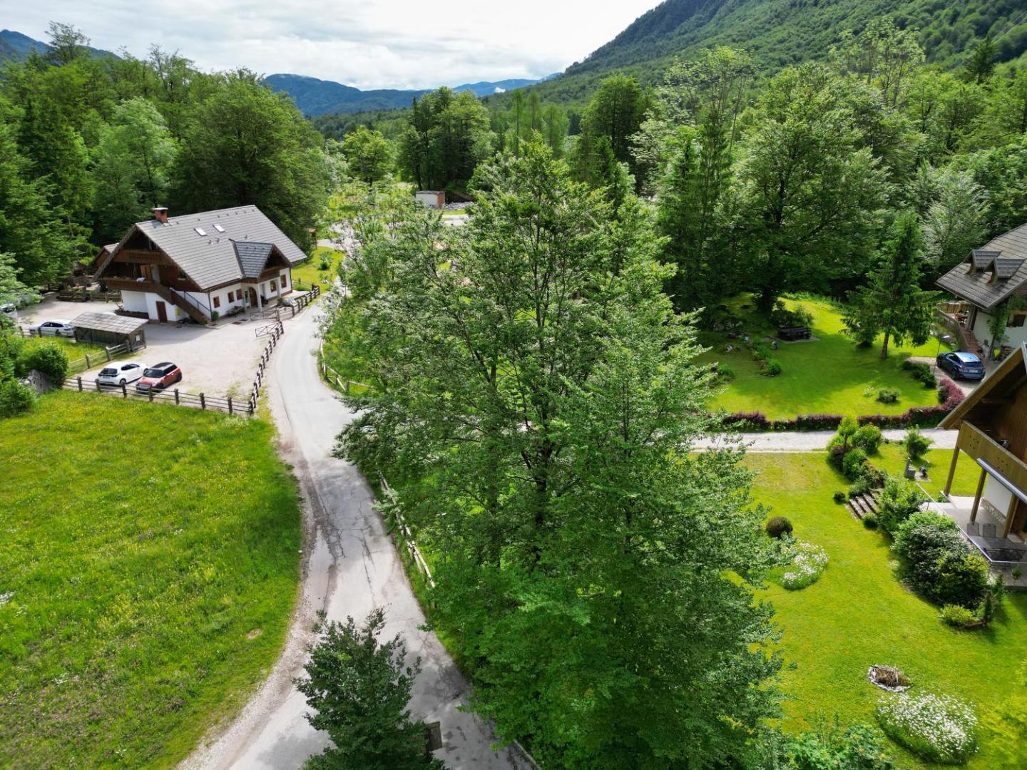 Bilde 2: Sobe in apartmaji Pri Ukcu Bohinj