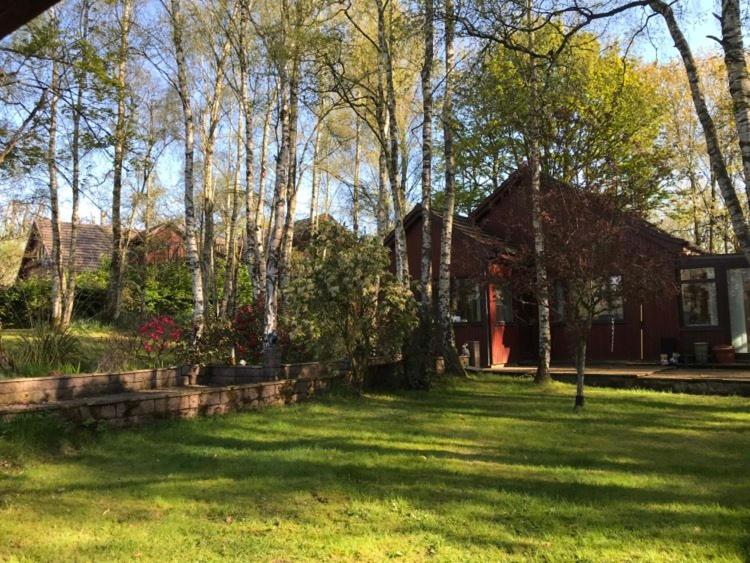 Billede 3: Pine Chalet