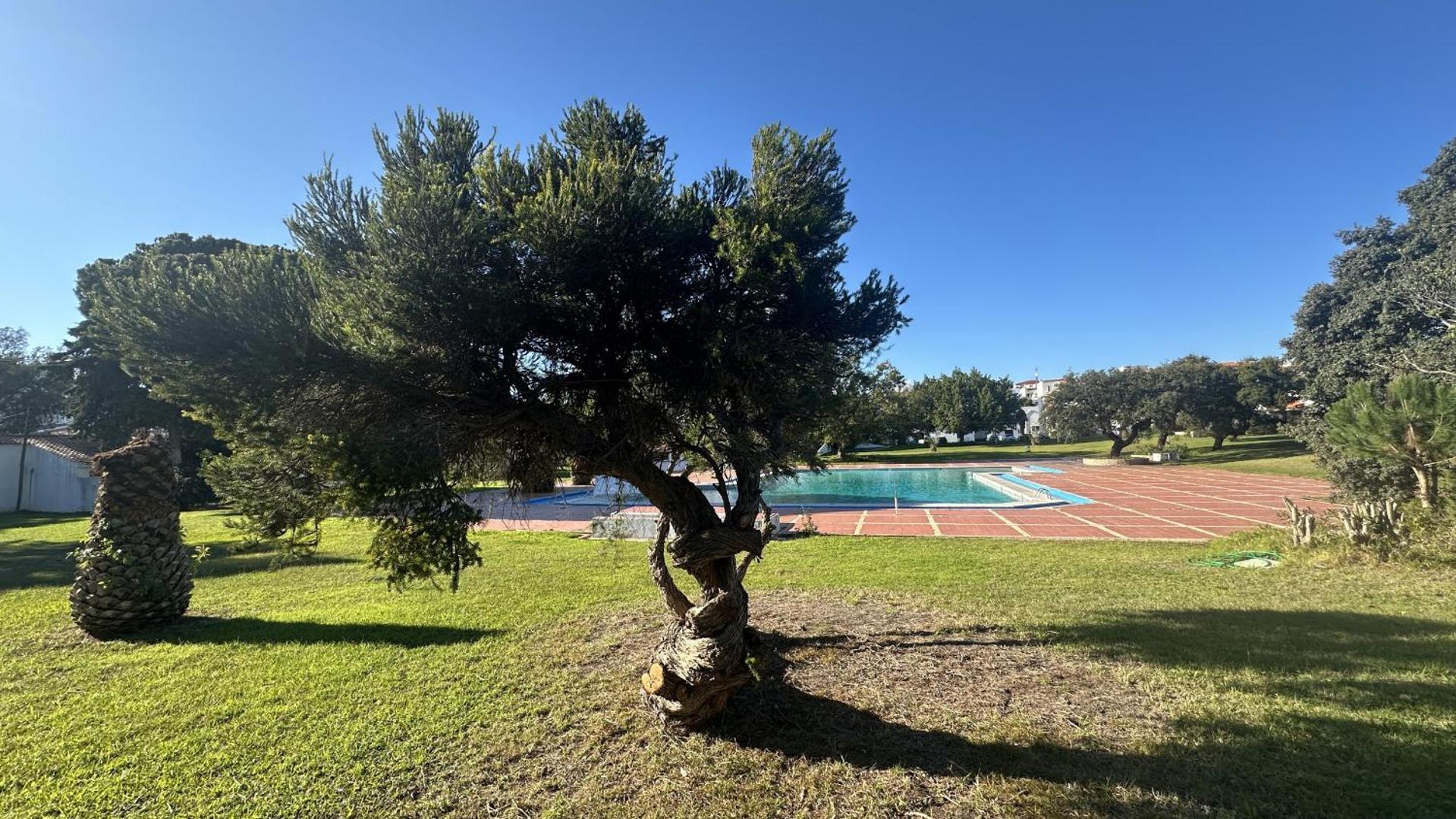Kuva 4: Vilanova - Shared Pool - 12 Guests - Albufeira