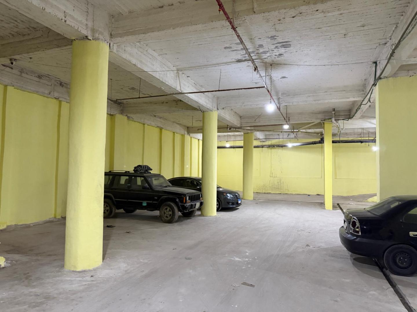Zdjęcie 3: ArabElite
