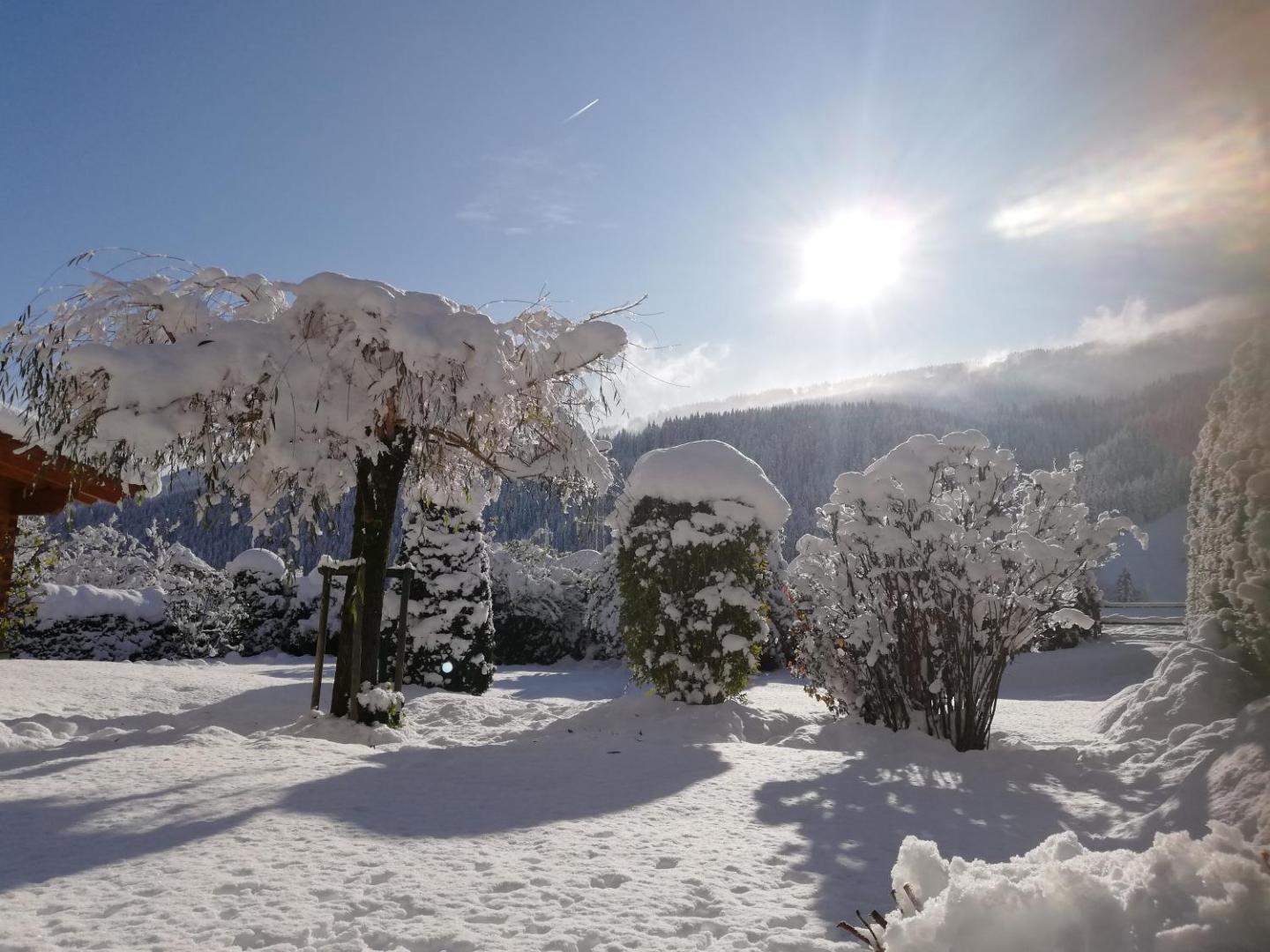 Billede 6: Chalet - Urlaub bei Freunden