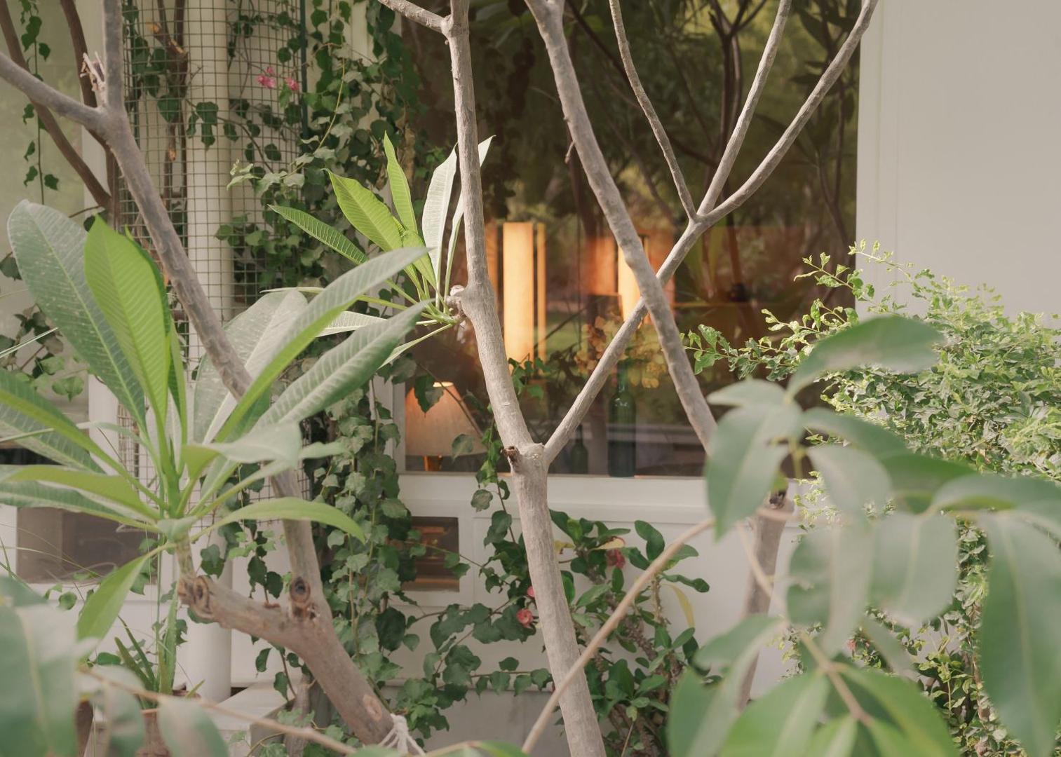 Bilde 7: PushkarOrganic - Lux farm resort with pool