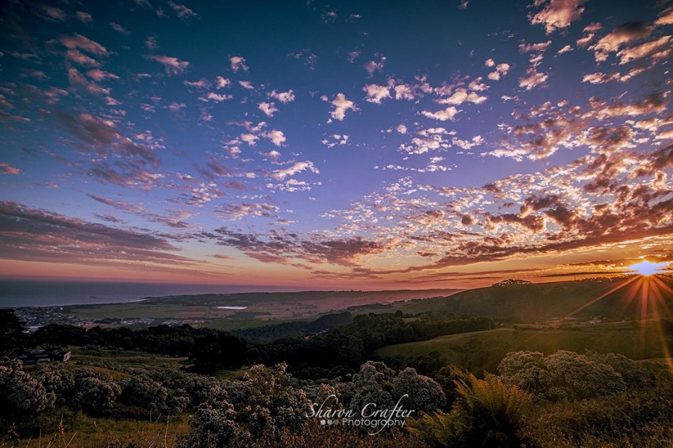 Kuva 10: Shellina - Apollo Bay accommodation