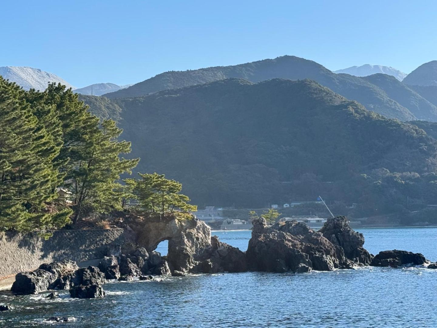 mare 稀的照片10