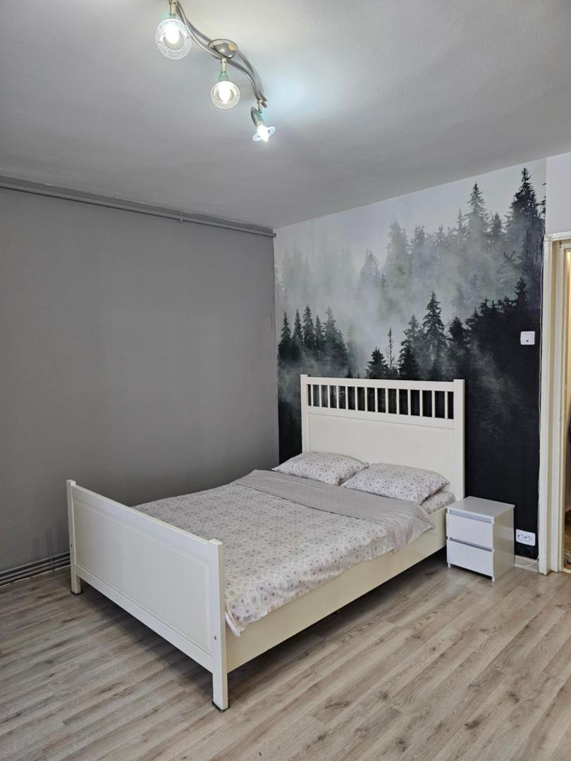 Billede 6: Forest Studio