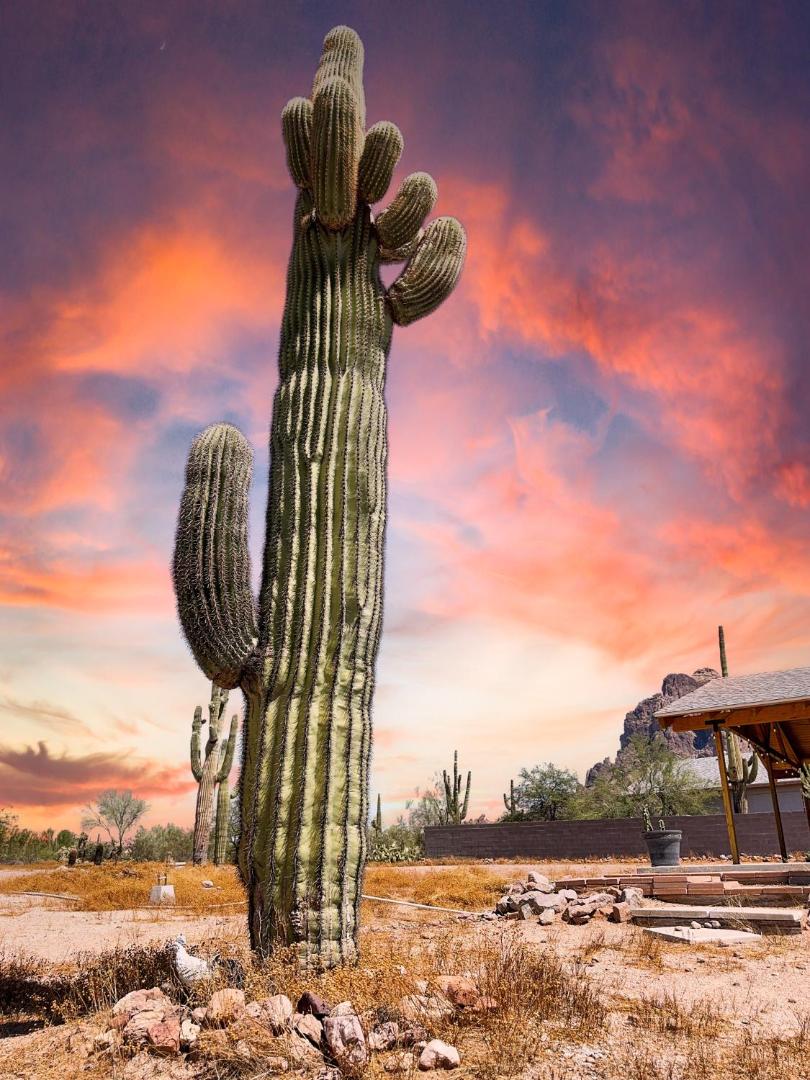 Фотография 2: Boulder Apache Junction