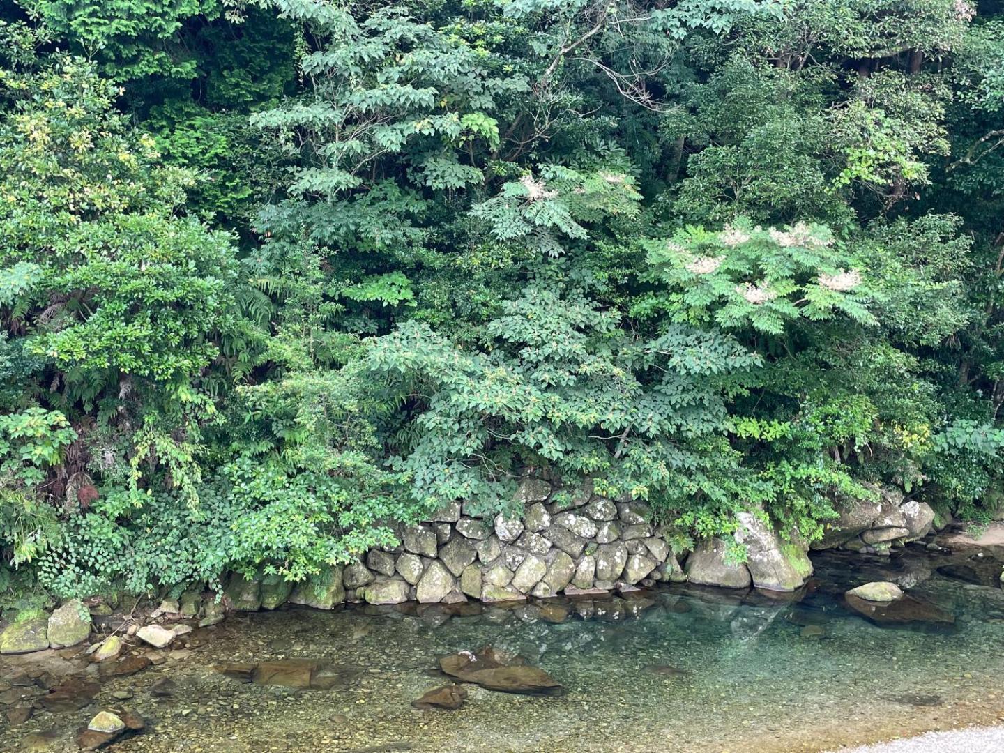 Billede 9: シーラニ白浜荘