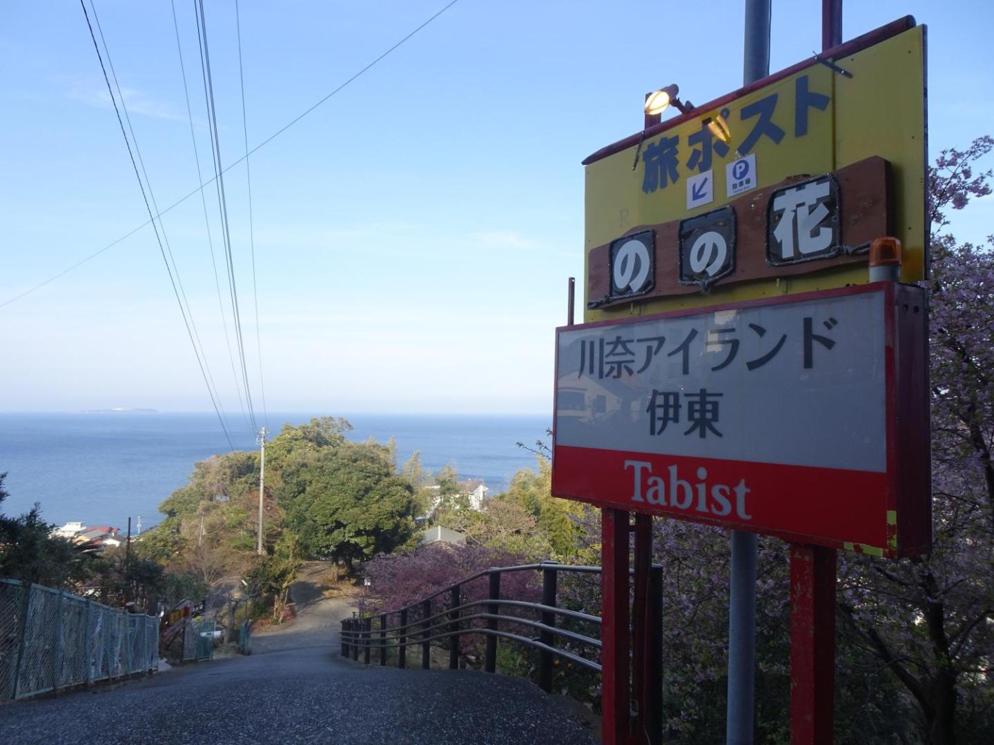 Photo 10 : 旅ポストのの花