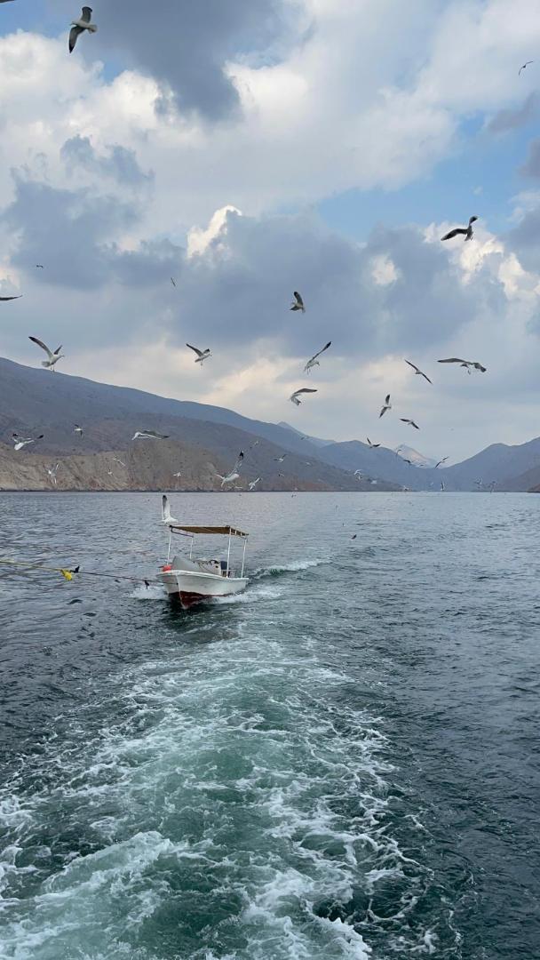 Zdjęcie 8: Camping, Hiking and Dhow Trip- Musandam Uncovered