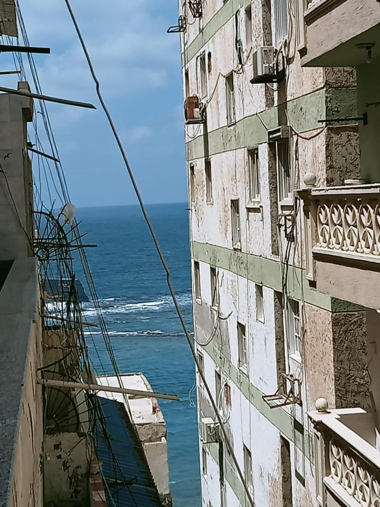 Фотография 9: الاسكندرية